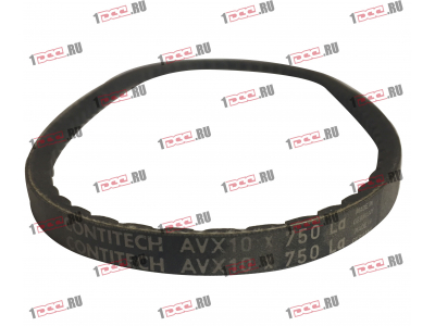 Ремень 10x750 клиновой Европа ЕВРОПА 10x750 фото 1 Рыбинск