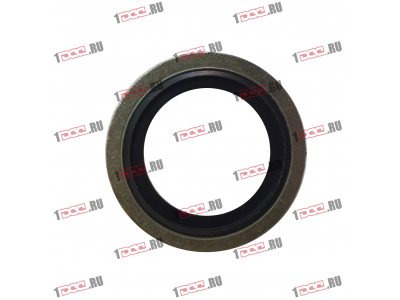 Шайба уплотнительная резинометаллическая D-24 H2 HOWO (ХОВО)  фото 1 Рыбинск