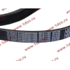 Ремень 8PK1160 SH (612600061295) SHAANXI / Shacman (ШАНКСИ / Шакман) 612600061752 фото 2 Рыбинск
