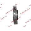 Шестерня привода распредвала промежуточная WD615/WP10 HOWO (ХОВО) VG1560050053/61560050053 фото 3 Рыбинск
